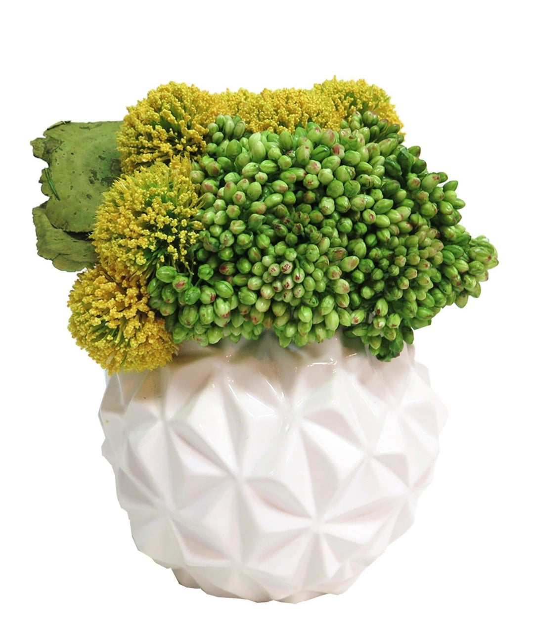 Seed Clusters and Billy Buttons in Ceramic