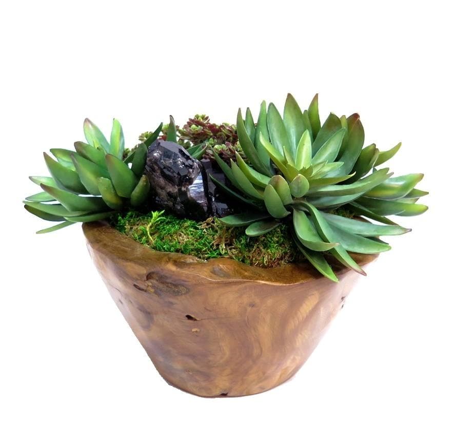 Succulents with Crystal in Bowl