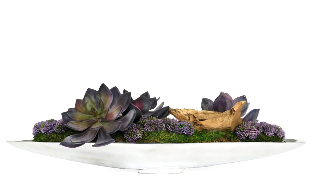 Succulents and Driftwood in Tray