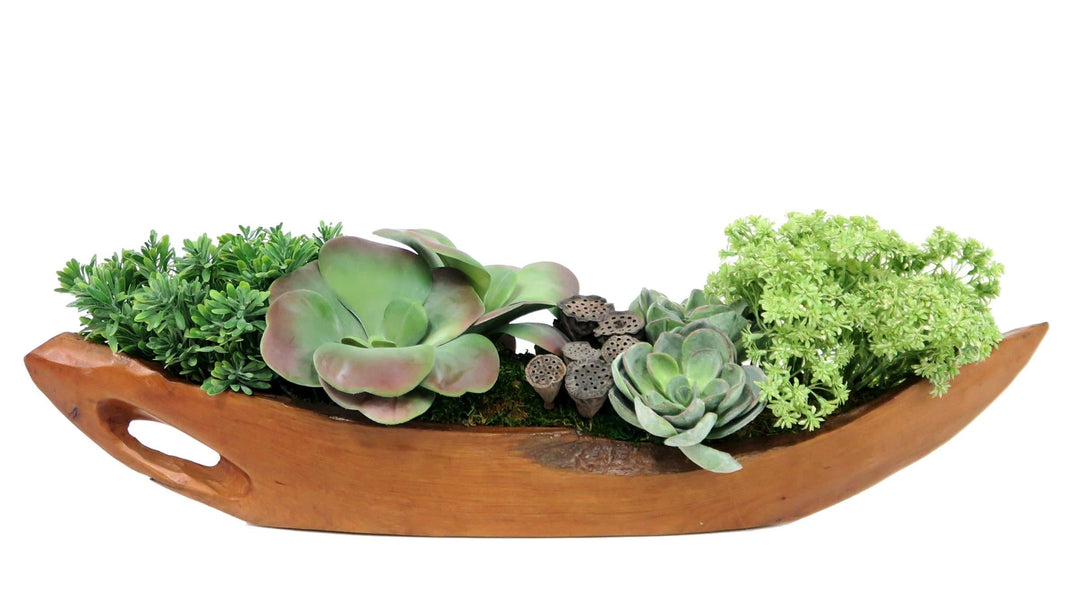 Mixed Succulents and Lotus Pods in Tray