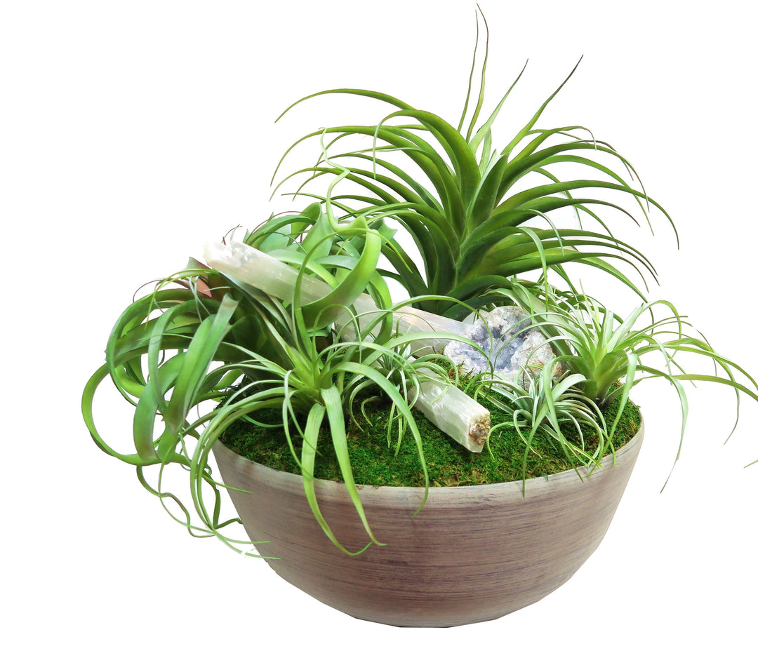 Tillandsia with Geode and Selenite Rods in Bowl