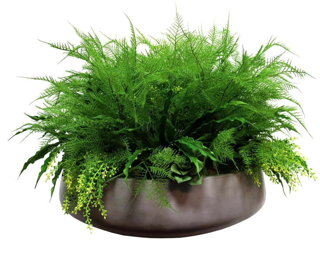 Ferns and Succulents in Bowl