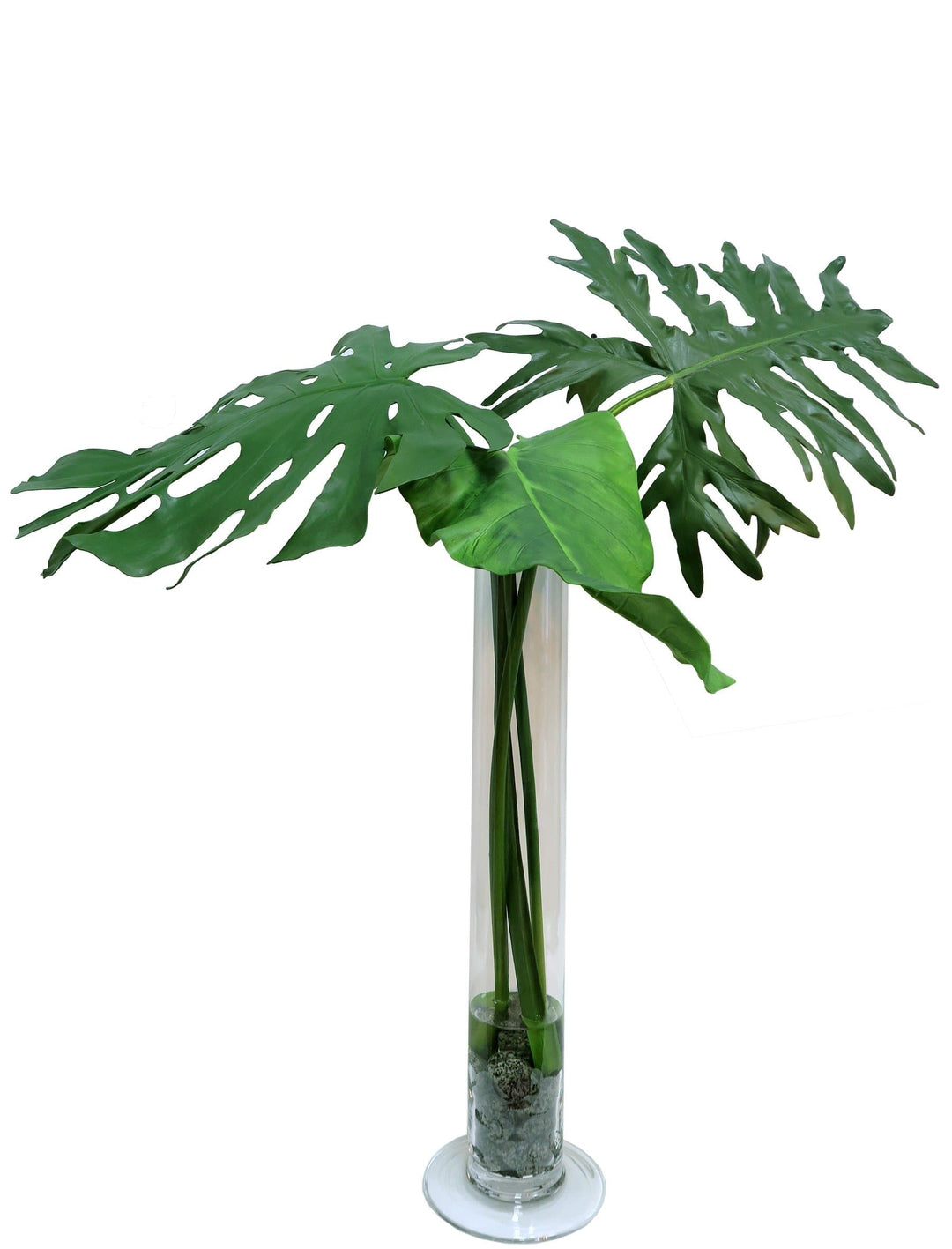 Tropical Leaves with Black River Rocks in Tall Glass Cylinder Vase