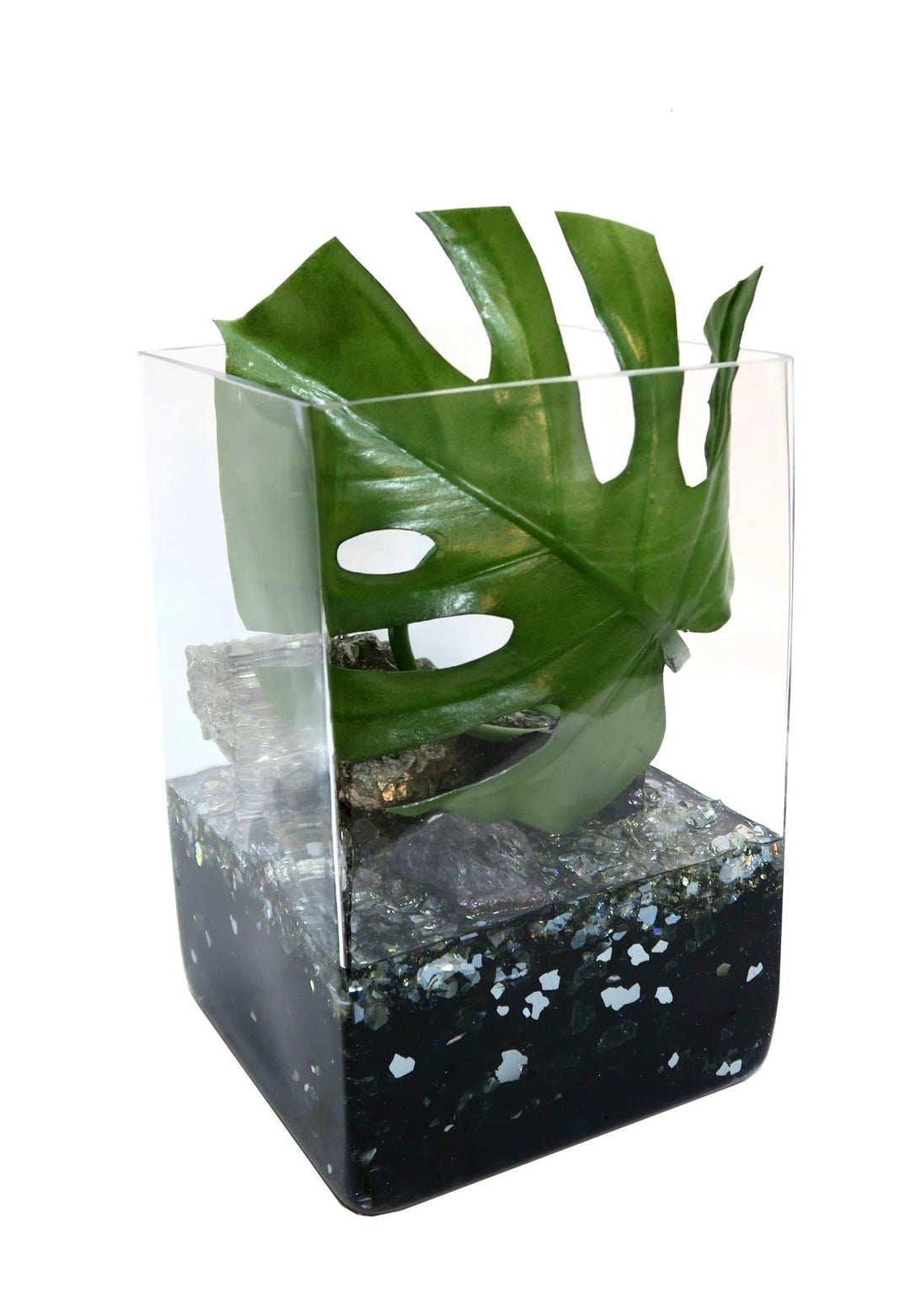 Monstera Leaf with Crystals and Reflective Glass in Container