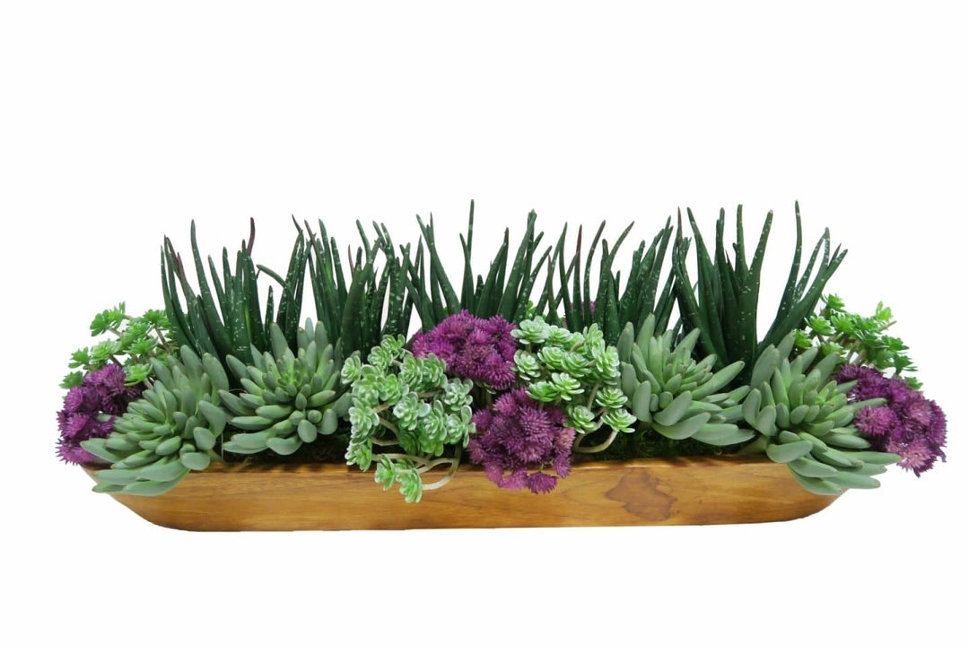 Mixed Succulents and Sedum in Container