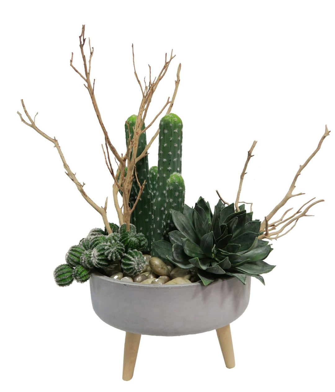 Mixed Cactus, Succulents, Manzanita with River Rocks in Bowl