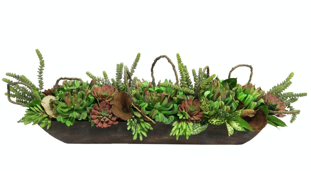 Mixed Succulents and Wood Ear Mushroom in Bowl