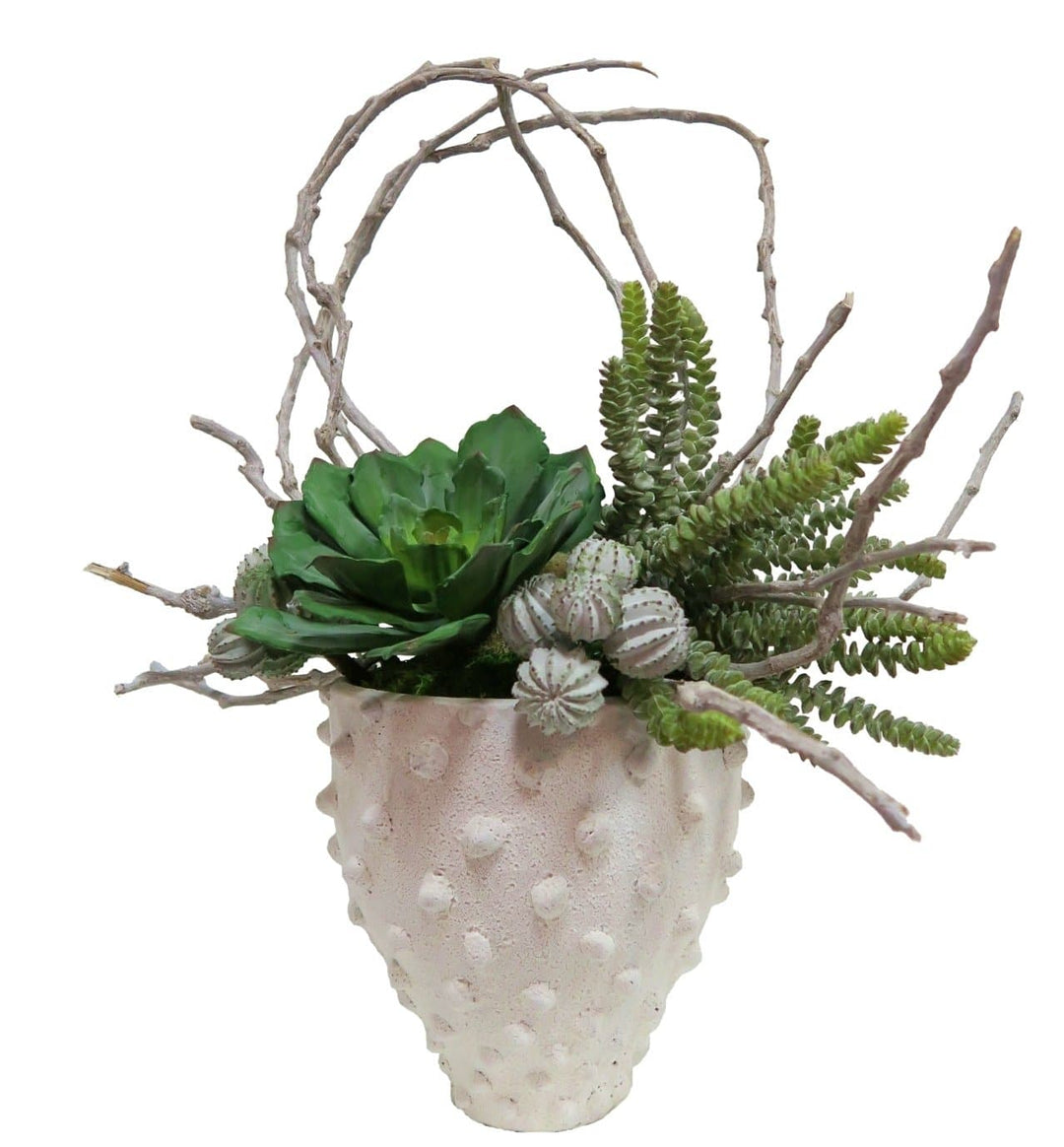 Mixed Succulents with Cactus and Looped Vine in Pot