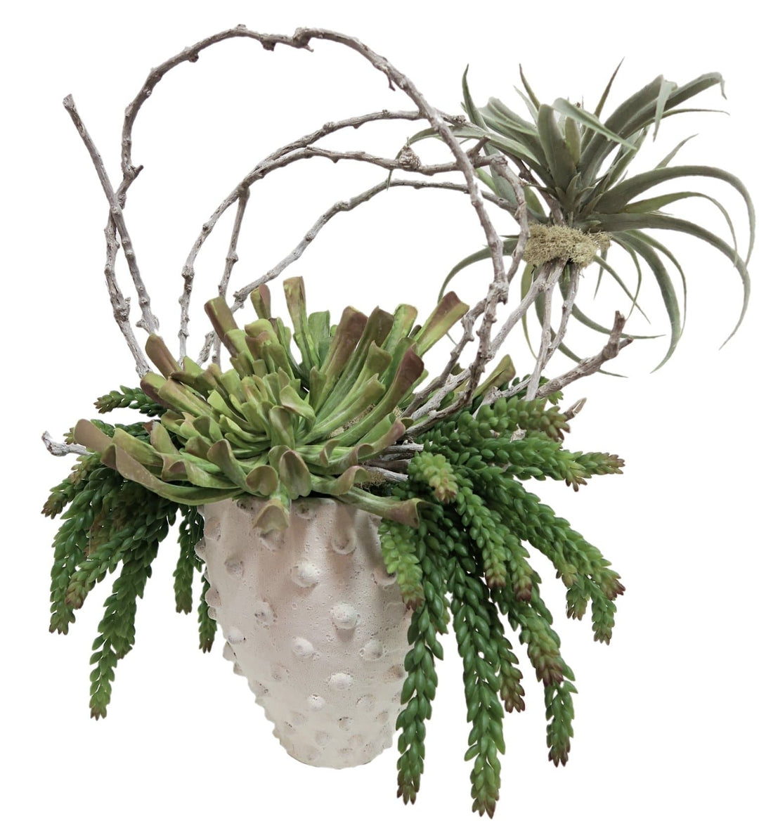 Mixed Succulents with Looped Vine in Pot
