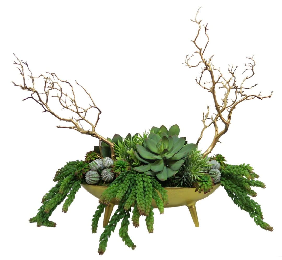 Mixed Succulents and Manzanita in Bowl