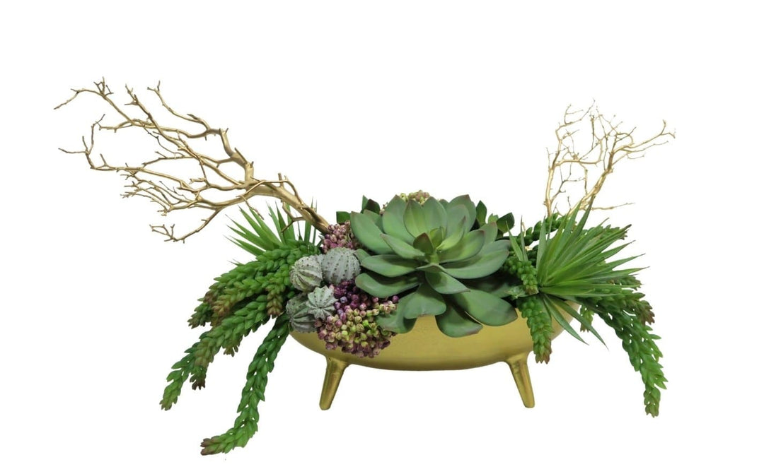 Mixed Succulents and Manzanita in Bowl