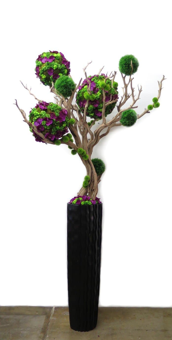 Grass Spheres with Succulents and Orchids on Ghostwood in Planter - LDF SilkSucculent