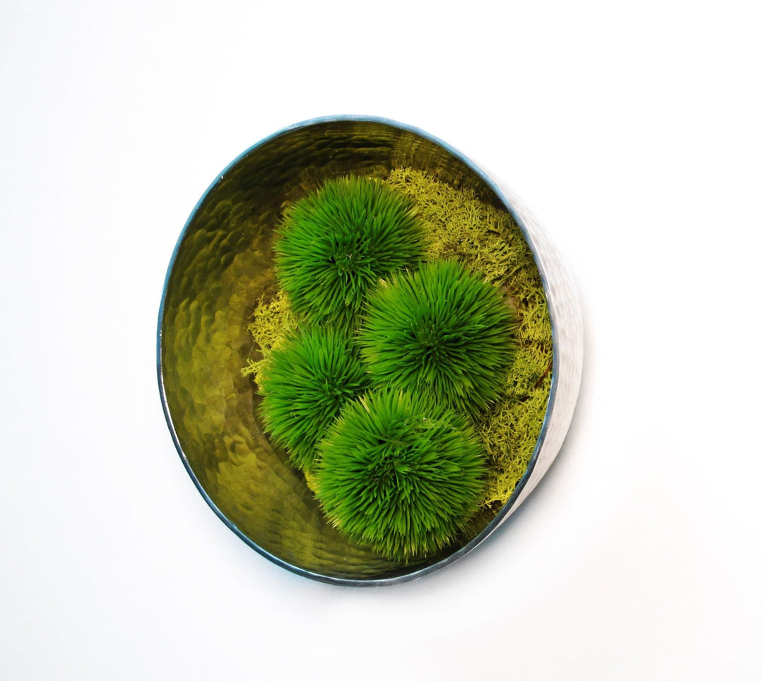 Hanging Bowl with Allium Spheres and Reindeer Moss - LDF Silk