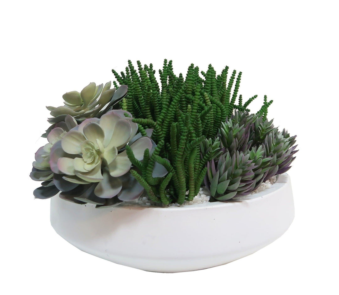 IFR Succulents in Ceramic 10"H - LDF SilkSucculent