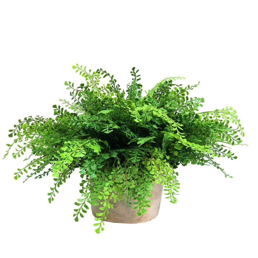 Maiden Hair Fern Bush in Container - LDF Silkplants