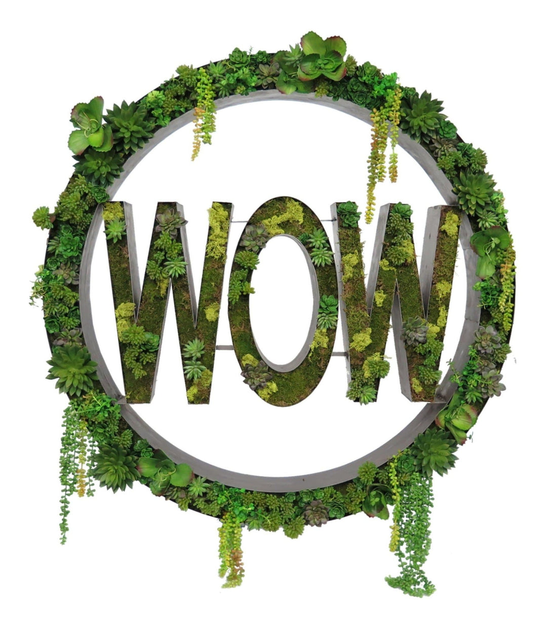 Metal "WOW" Wall Art Featuring Mixed Succulents and Moss - LDF SilkSucculent