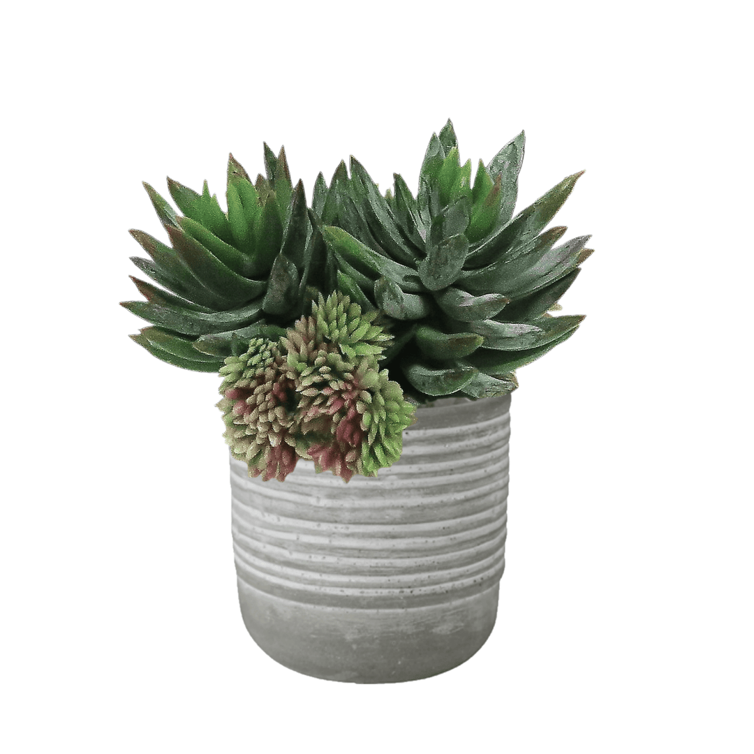 Mini Agave and Sedum in Pot 6"H - LDF SilkHome & Garden