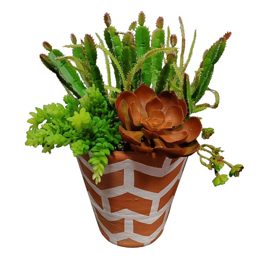 Mixed Cactus and Succulents in Container 13"H - LDF Silk