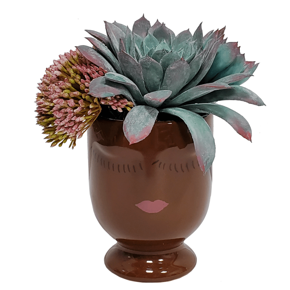 pink and blue succulents Mixed Succulents in Vase 5.5"H