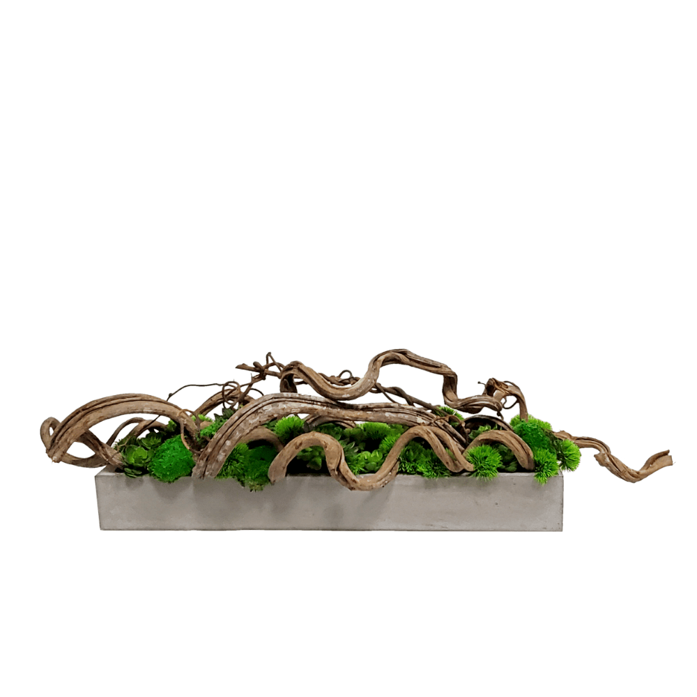 Natural Curly Vine with Elements and Mosses in Container 13"H - LDF SilkArtificial Flora