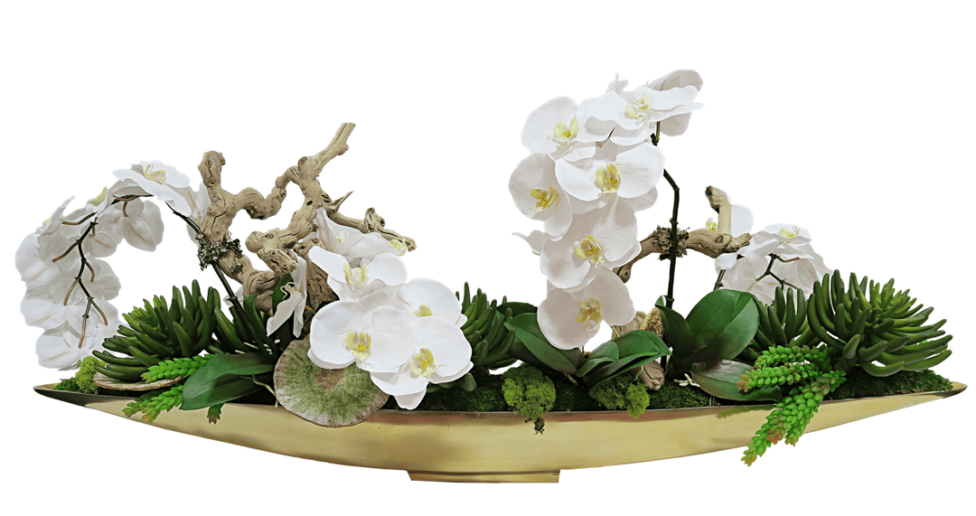Orchids with Succulents and Grapewood Branch in Container - LDF SilkArtificial Flora