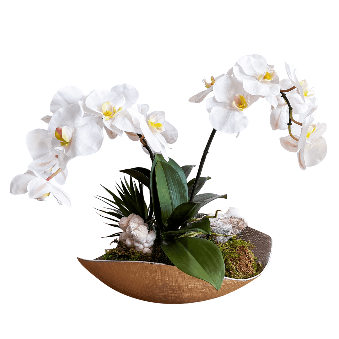 Orchids with Yucca and Geodes in Tray. FH: 21" - LDF SilkFlorals