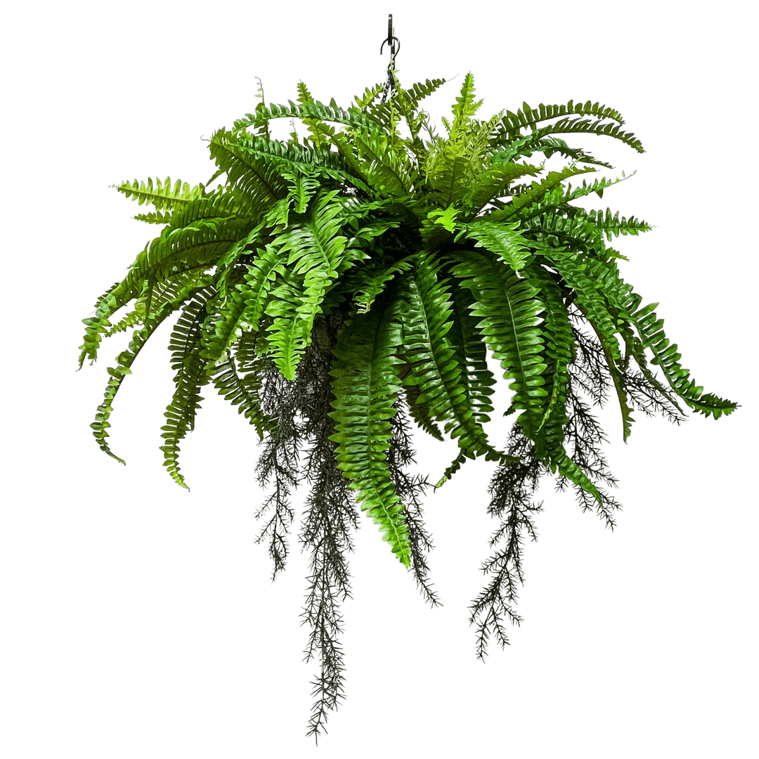 Outdoor Boston and Sprenger Ferns in Hanging Basket - LDF Silkplants
