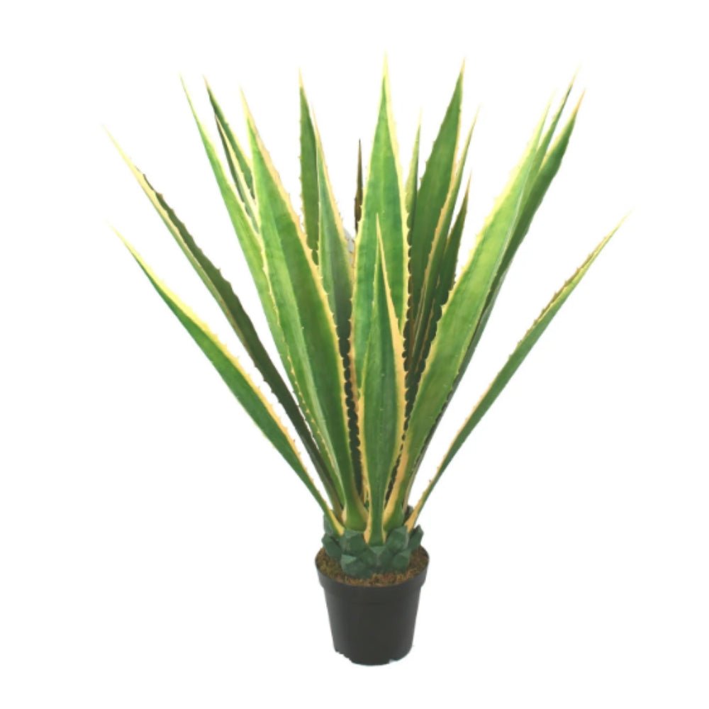 Outdoor Green Yellow Agave in Grow Pot 48"H - LDF SilkArtificial Flora