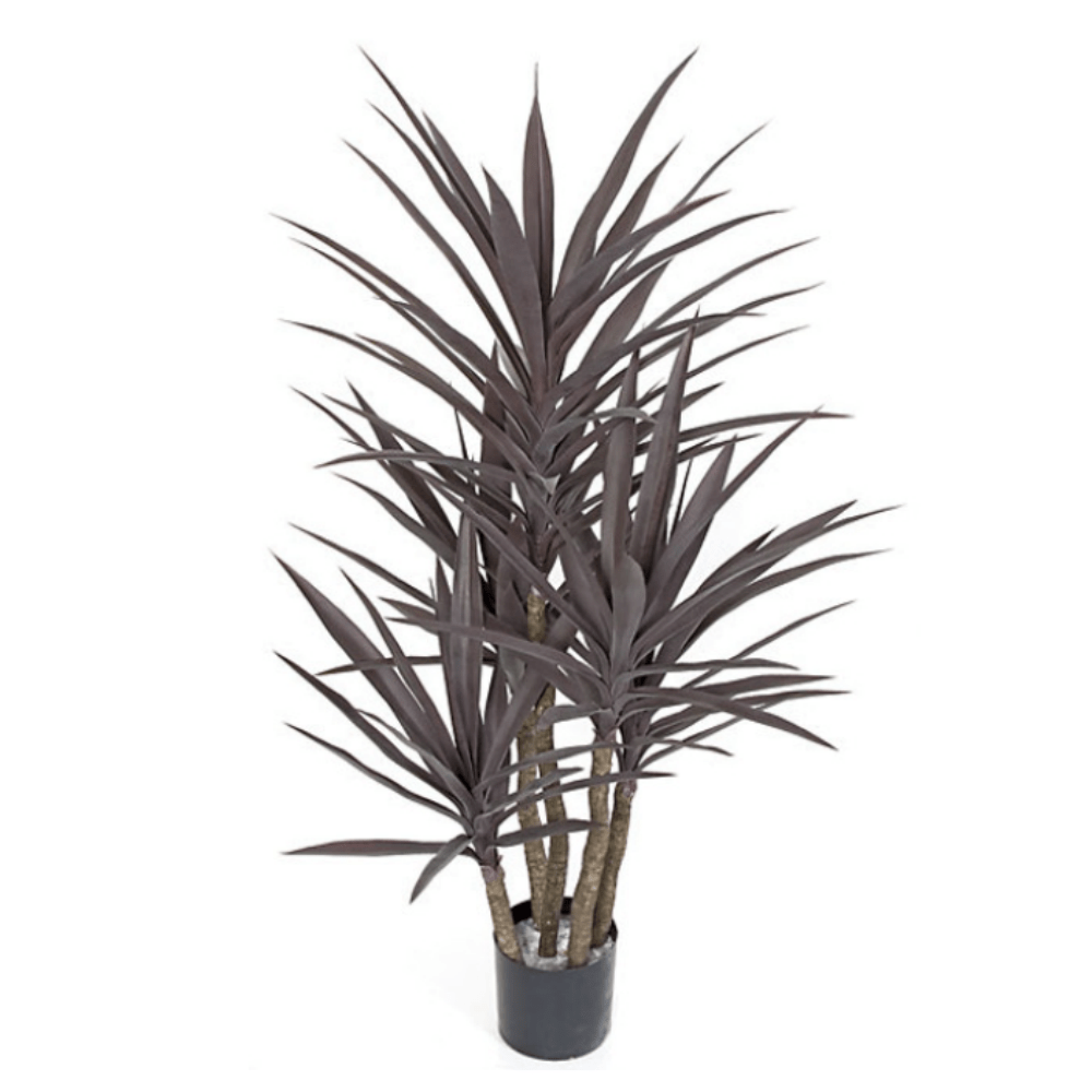 Outdoor Multi - Head Burgundy Yucca Plant in Grow Pot 53"H - LDF SilkArtificial Flora