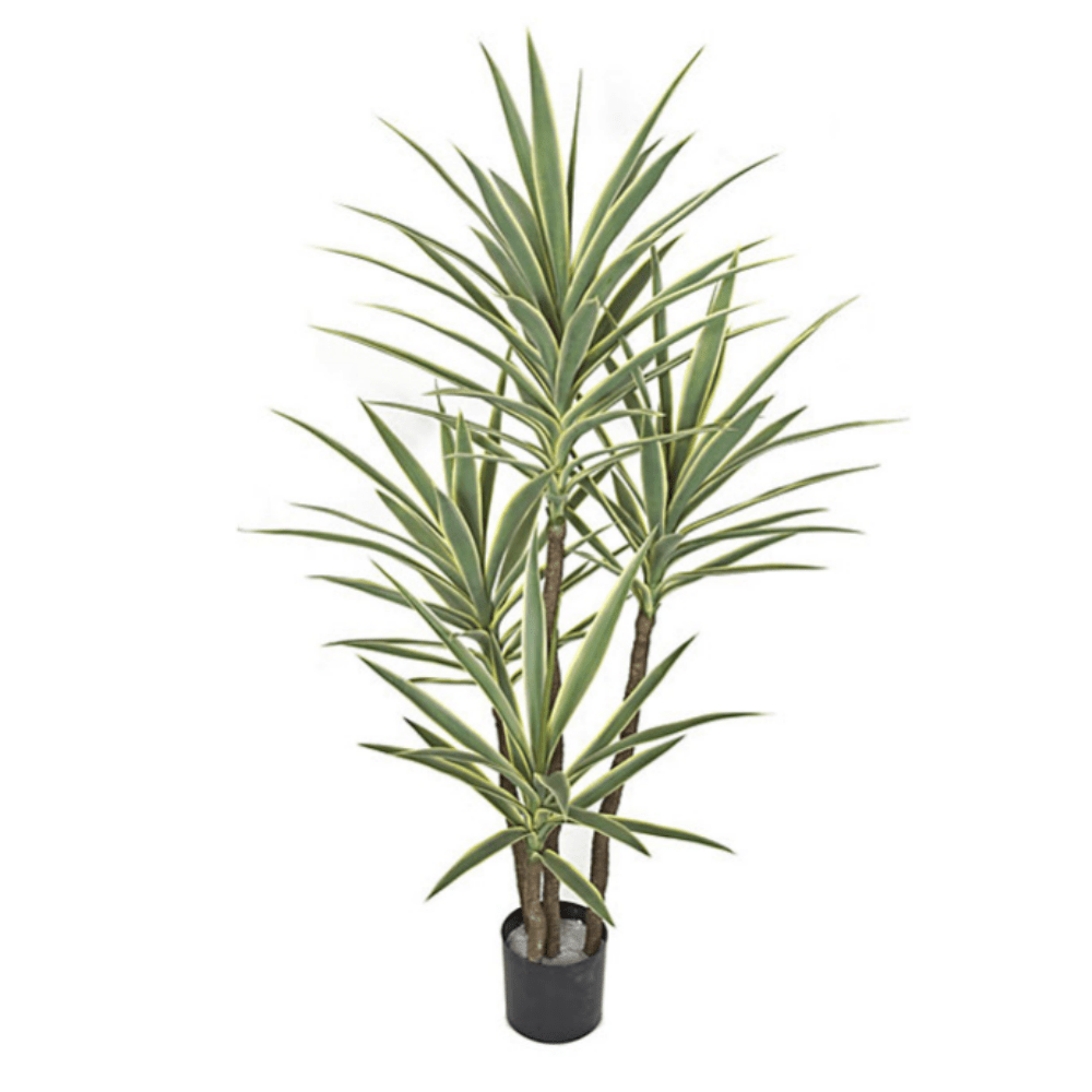 Outdoor Multi - Head Green Yellow Yucca Plant in Grow Pot 60"H - LDF SilkArtificial Flora