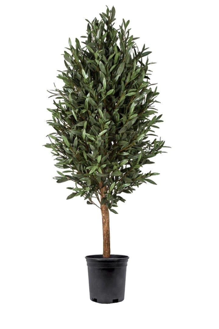 Outdoor Olive Tree in Grow Pot 60"H - LDF SilkArtificial Flora