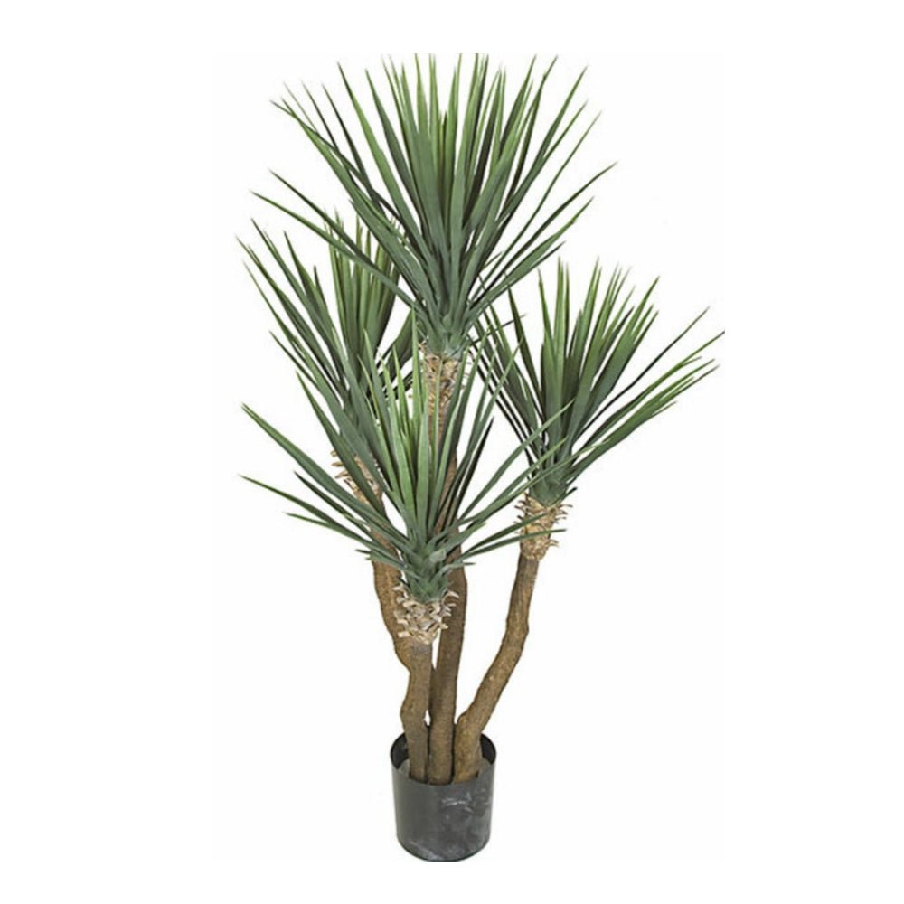 Outdoor Rostrata Yucca in Grow Pot 57"H - LDF Silk