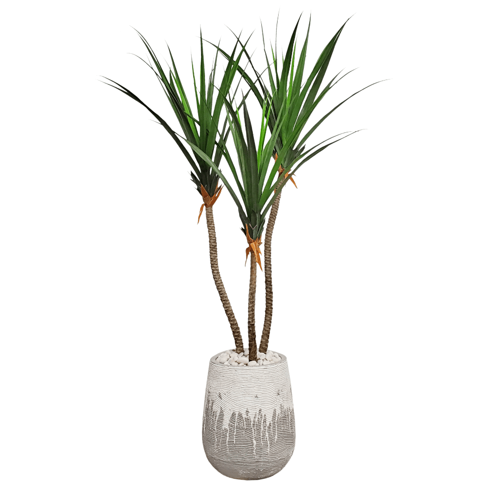 Outdoor Triple Screw Pine with White River Rocks in Container. 100"H - LDF Silk