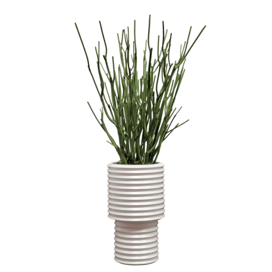 Pencil Cactus in Ceramic. 29"H - LDF Silk