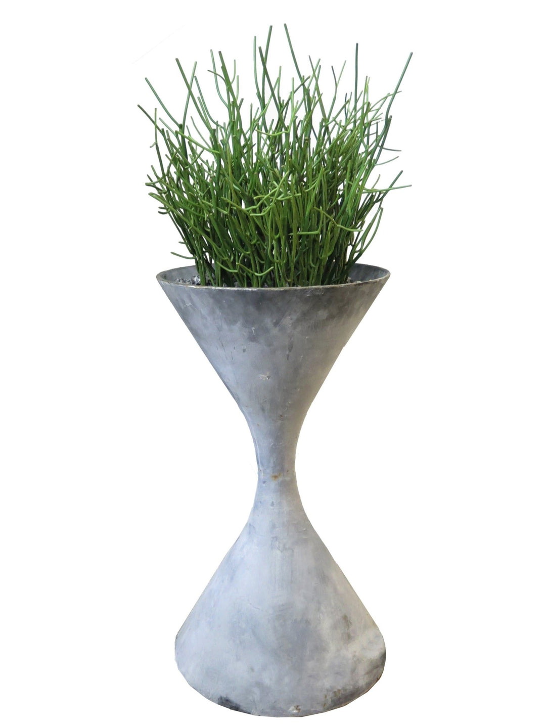 Pencil Cactus in Vase - LDF Silksucculents
