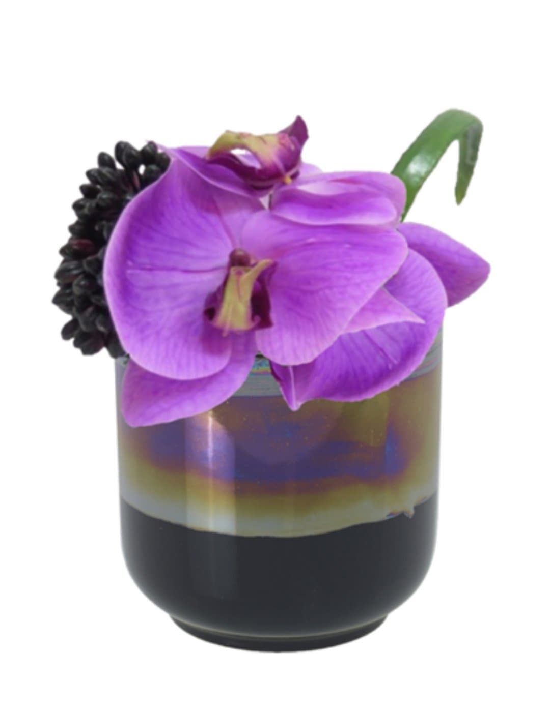 Phalaenopsis Orchid in Ceramic - LDF SilkFlorals