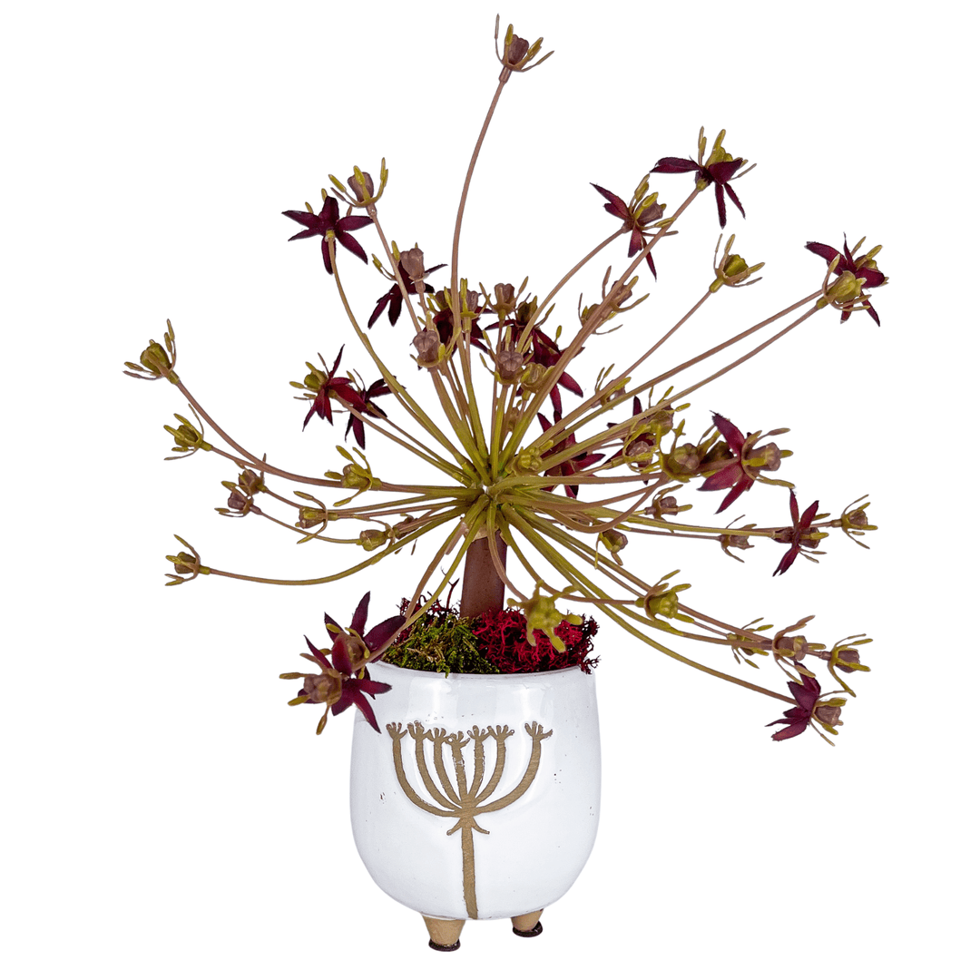 Sedum in Ceramic - LDF SilkArtificial Flora