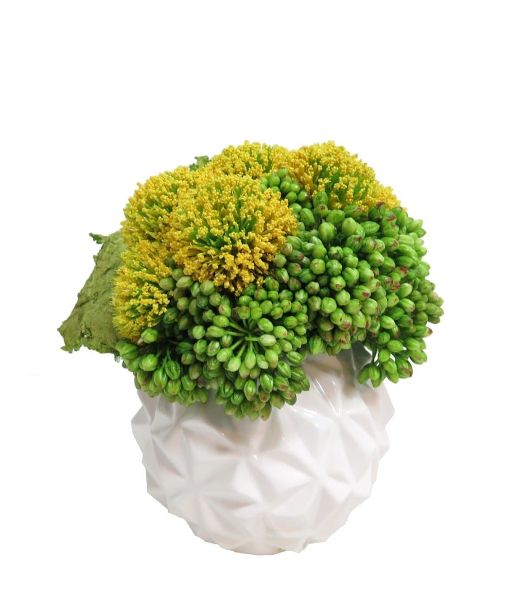 Seed Clusters and Yellow Billy Buttons in Ceramic 9"H - LDF SilkSucculent