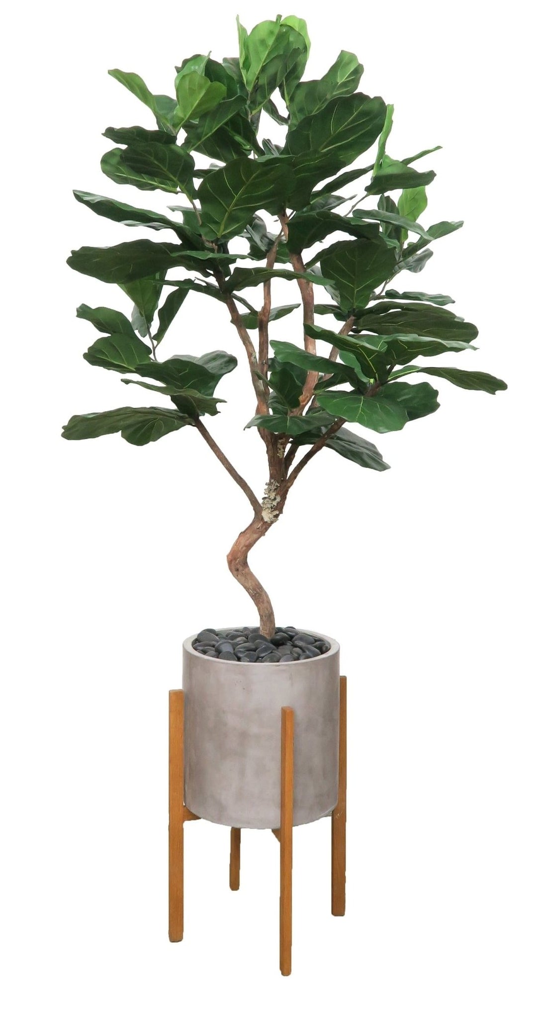 Single Trunk Fiddle Leaf Tree in Planter 84"H - LDF SilkArtificial Flora