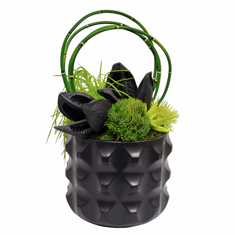 Sora Pods with Looped Water Bamboo, Grass and Succulents in Ceramic 16"H - LDF Silk
