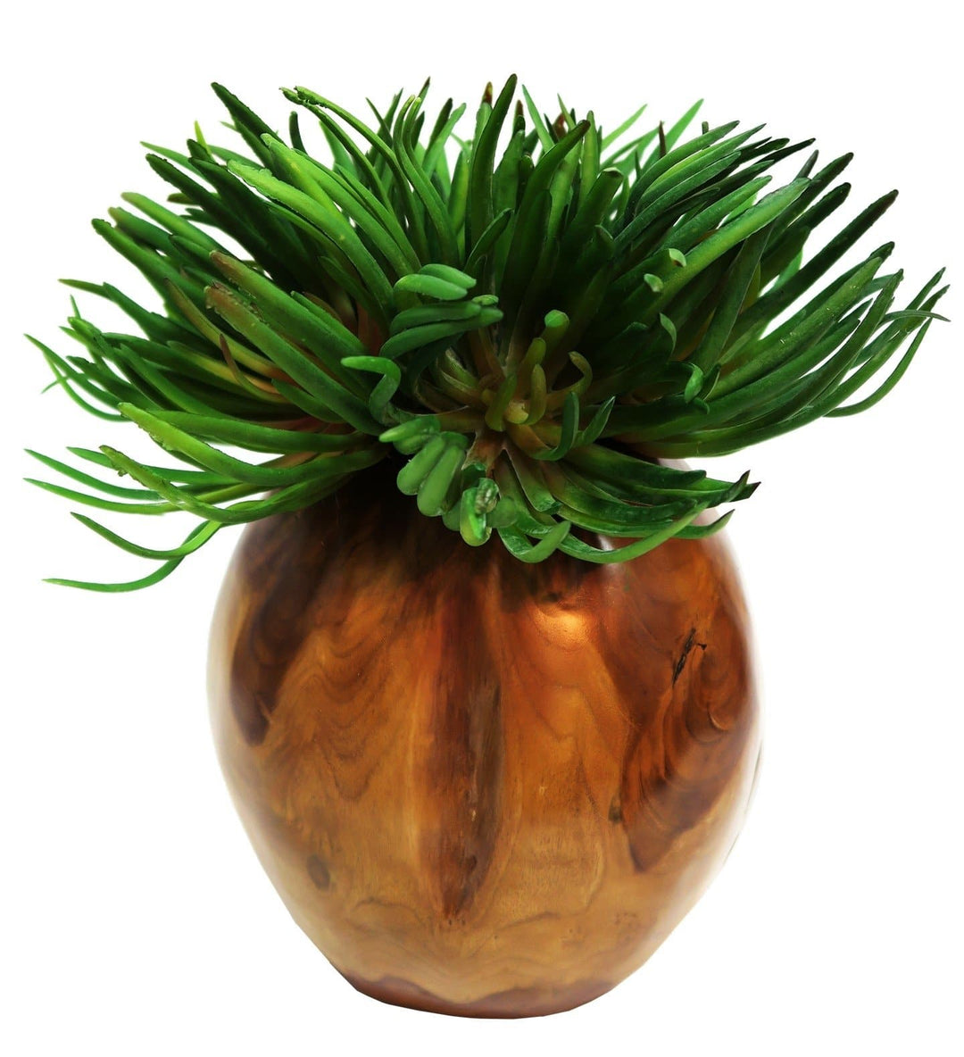 Spiky Succulent in Vase - LDF Silksucculents