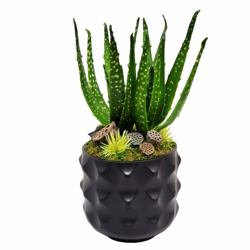 Spotted Aloe with Bright Spikey Fowers and Dried Lotus Pods in Ceramic 15"H - LDF Silk