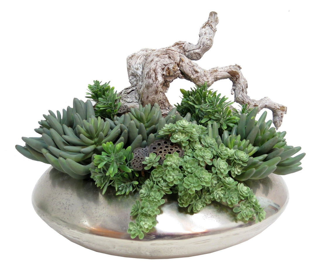 Succulents and Ghostwood Branch in Bowl - LDF Silksucculents