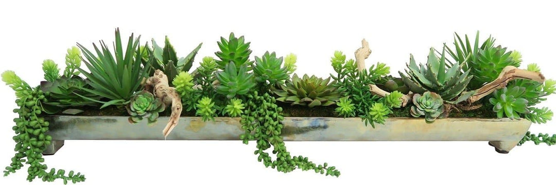 Succulents and Grapewood Branches in Tray - LDF Silksucculents