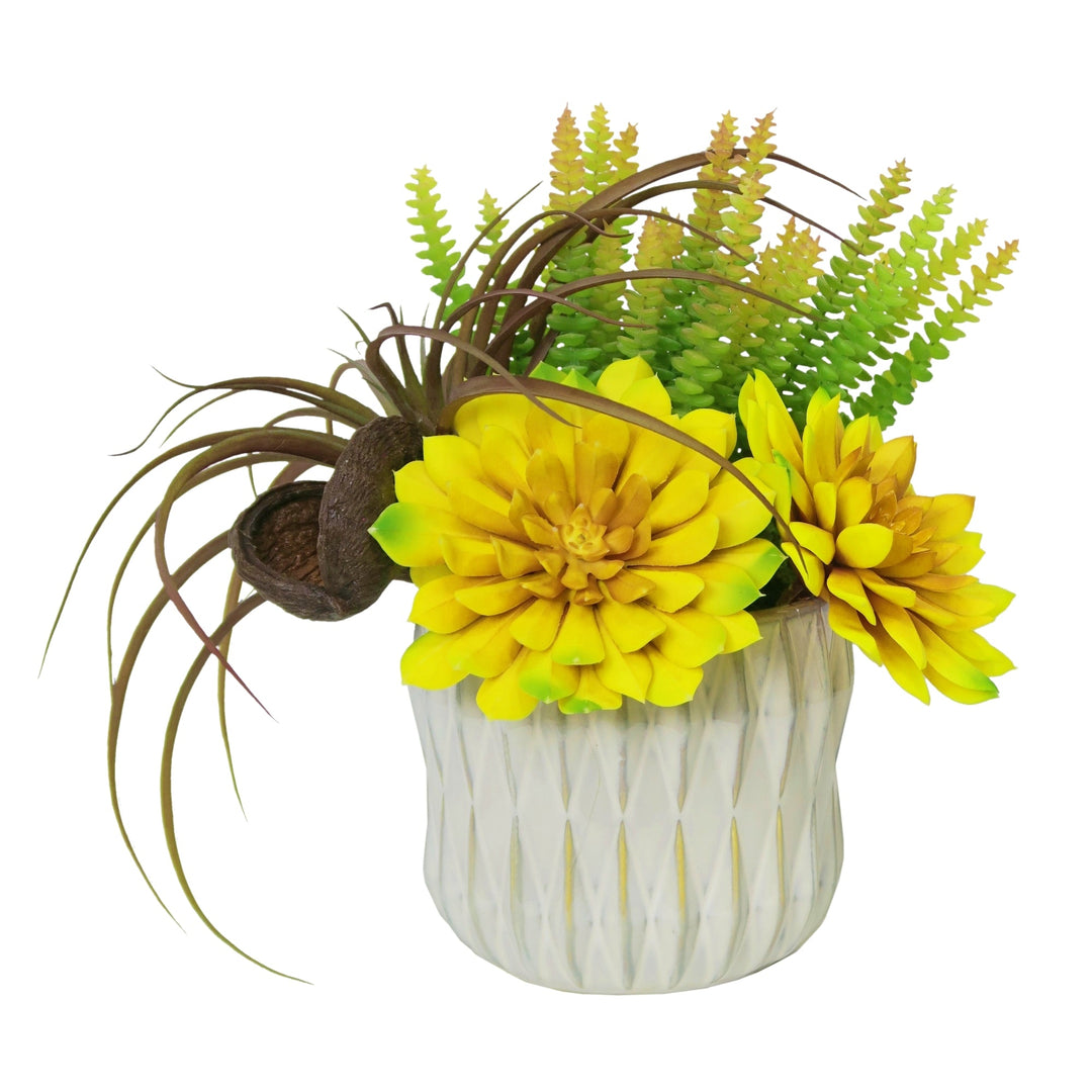 Succulents, Dried Pod, Donkey Tail and Tillandsia in Ceramic 13"H - LDF SilkSucculent