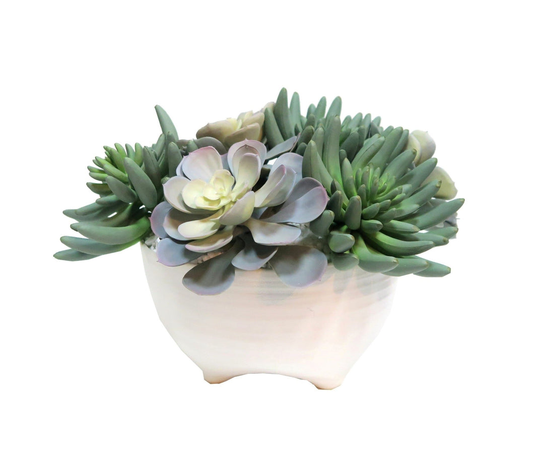 Succulents in Bowl - LDF SilkSucculent