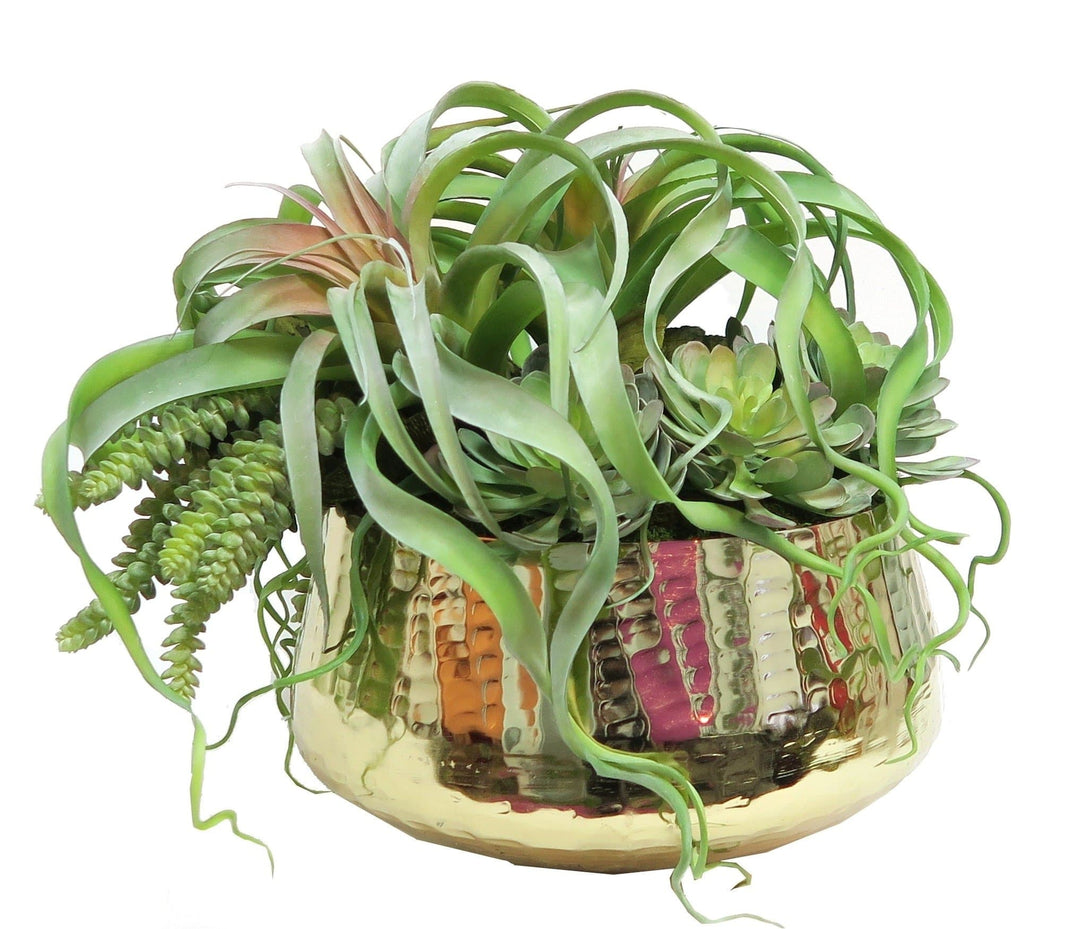 Succulents in Bowl - LDF Silksucculents