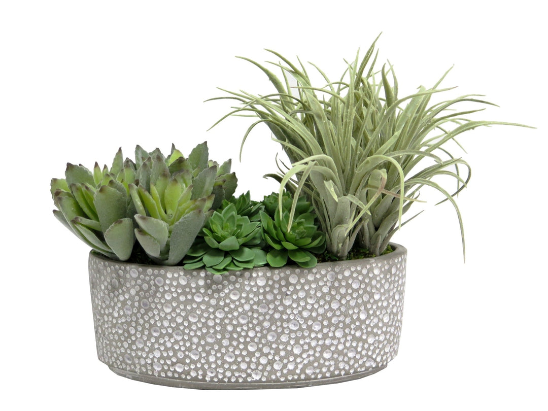 Succulents in Bowl - LDF Silksucculents