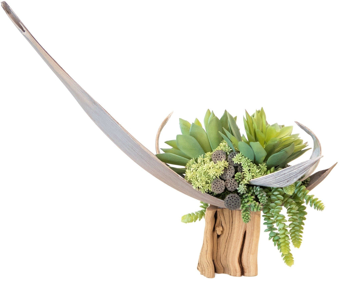 Succulents in Palm Boat on Ghostwood Stand - LDF Silksucculents