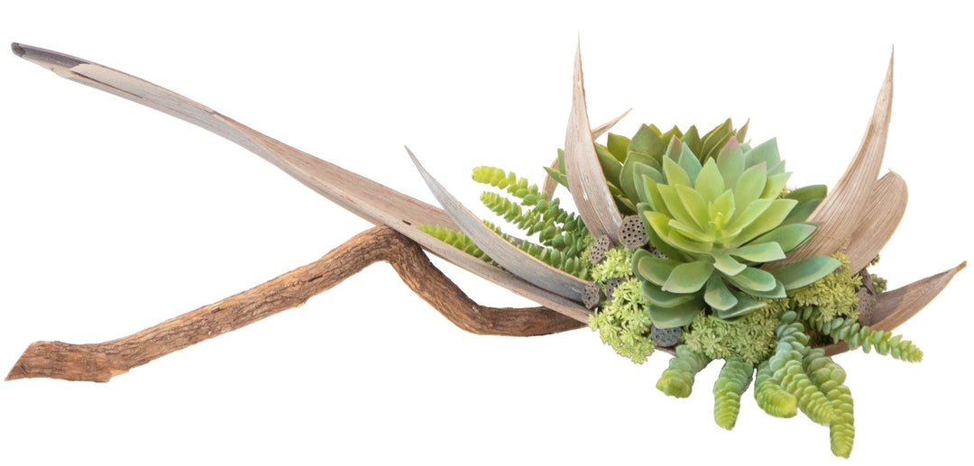Succulents in Palm Boat on on Ghostwood Branch - LDF Silksucculents